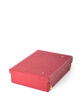 Leather Mini Trunk B5 Men Red FUJITAKA