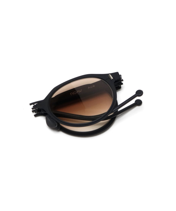 624004_00_02-cha_06 サングラス 折りたたみ コンパクト メンズ ブラック ブラウン ROAV FUJITAKA