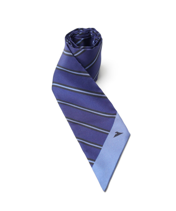 スカーフ ストライプ柄 シルク メンズ ブルー FUJITAKA